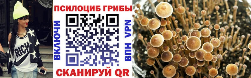 сколько стоит  Реж  Галлюциногенные грибы Magic Shrooms 