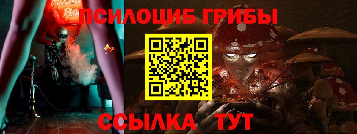 Псилоцибиновые грибы MAGIC MUSHROOMS  Галлюциногенные грибы мухоморы  Вход с VPN  Реж 